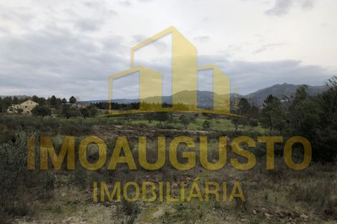 Helårsgrund i Guarda, Guarda, Guarda - € 15.000 | Ref: TER_1226 - foto 16