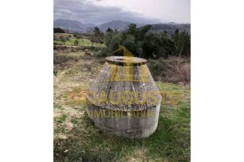Helårsgrund i Guarda, Guarda, Guarda - € 15.000 | Ref: TER_1226 - foto 18