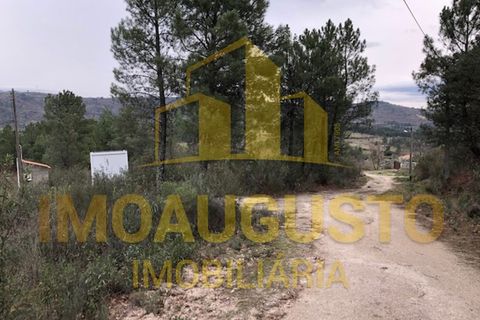 Helårsgrund i Guarda, Guarda, Guarda - € 15.000 | Ref: TER_1226 - foto 20