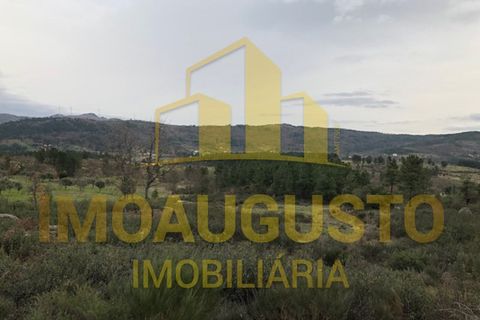 Helårsgrund i Guarda, Guarda, Guarda - € 15.000 | Ref: TER_1226 - foto 21