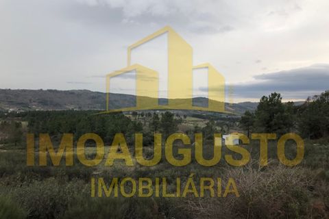 Helårsgrund i Guarda, Guarda, Guarda - € 15.000 | Ref: TER_1226 - foto 22