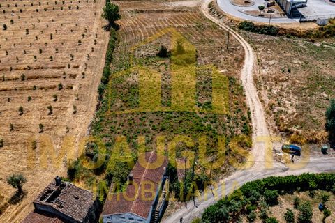 Terra a Celorico da Beira, Guarda, Celorico da Beira - € 39.000 | Ref: PAR_2280 - foto 5