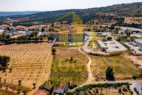 Terra a Celorico da Beira, Guarda, Celorico da Beira - € 39.000 | Ref: PAR_2280 - foto 6