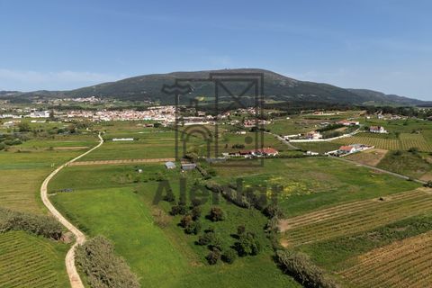 Helårsgrund i Alenquer, Lisbon, Alenquer - € 30.000 | Ref: SÒL_182 - foto 2
