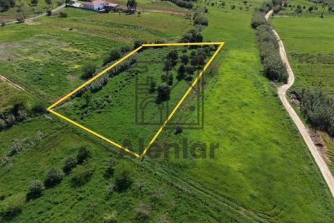 Helårsgrund i Alenquer, Lisbon, Alenquer - € 30.000 | Ref: SÒL_182 - foto 6