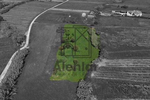 Helårsgrund i Alenquer, Lisbon, Alenquer - € 30.000 | Ref: SÒL_182 - foto 7