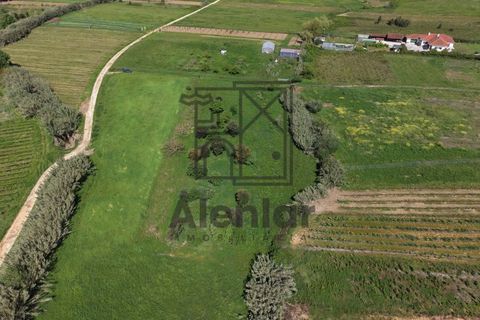Helårsgrund i Alenquer, Lisbon, Alenquer - € 30.000 | Ref: SÒL_182 - foto 8