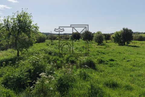 Helårsgrund i Alenquer, Lisbon, Alenquer - € 30.000 | Ref: SÒL_182 - foto 10