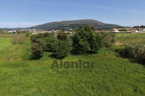 Helårsgrund i Alenquer, Lisbon, Alenquer - € 30.000 | Ref: SÒL_182 - foto 11