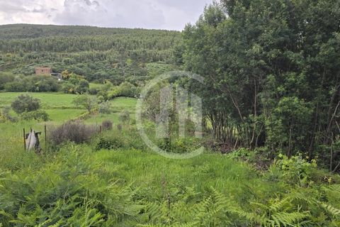 Helårsgrund i Covilha, Castelo Branco, Covilha - € 6.000 | Ref: TER_199 - foto 4