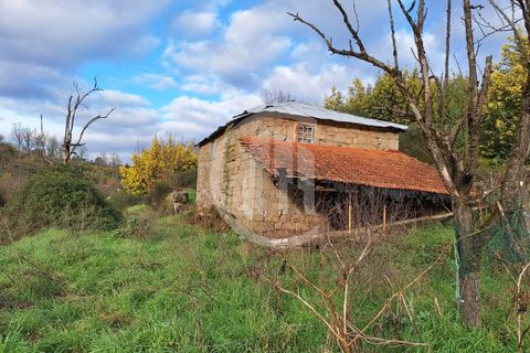 Grond in Sameice e Santa Eulalia, Guarda, Sameice e Santa Eulalia - € 296.500 | Ref: TER_155 - foto 6