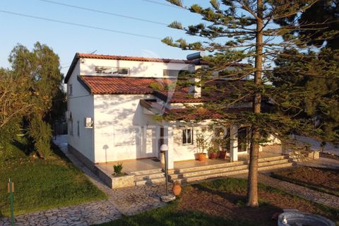 Byhus i Benavente, Santarem, Benavente - € 1.075.000 | Ref: 059793 - foto 1