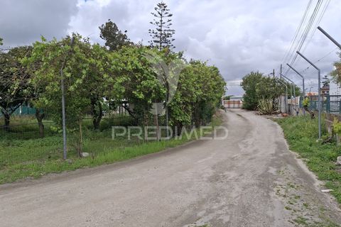 Byhus i Benavente, Santarem, Benavente - € 1.075.000 | Ref: 059793 - foto 36