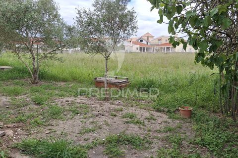 Byhus i Benavente, Santarem, Benavente - € 1.075.000 | Ref: 059793 - foto 39
