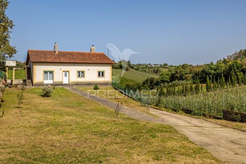 Byhus i Alcobaca, Leiria, Alcobaca - € 365.000 | Ref: 059822 - foto 1