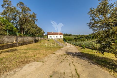 Byhus i Alcobaca, Leiria, Alcobaca - € 365.000 | Ref: 059822 - foto 3
