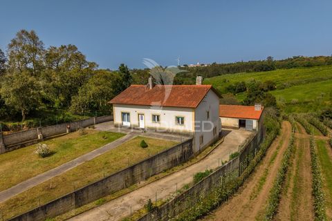 Byhus i Alcobaca, Leiria, Alcobaca - € 365.000 | Ref: 059822 - foto 33
