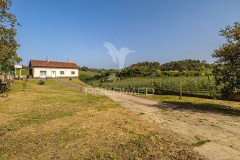 Byhus i Alcobaca, Leiria, Alcobaca - € 365.000 | Ref: 059822 - foto 34