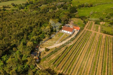 Byhus i Alcobaca, Leiria, Alcobaca - € 365.000 | Ref: 059822 - foto 35