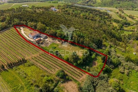 Byhus i Alcobaca, Leiria, Alcobaca - € 365.000 | Ref: 059822 - foto 36