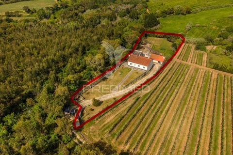 Byhus i Alcobaca, Leiria, Alcobaca - € 365.000 | Ref: 059822 - foto 37