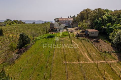 Byhus i Alcobaca, Leiria, Alcobaca - € 365.000 | Ref: 059822 - foto 38