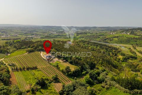 Byhus i Alcobaca, Leiria, Alcobaca - € 365.000 | Ref: 059822 - foto 39