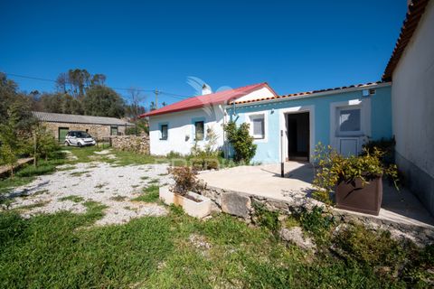 Byhus i Trancoso, Guarda, Trancoso - € 110.000 | Ref: 059126 - foto 6
