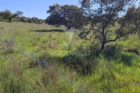 Terra a Alandroal, Evora, Alandroal - € 41.150 | Ref: 059837 - foto 2