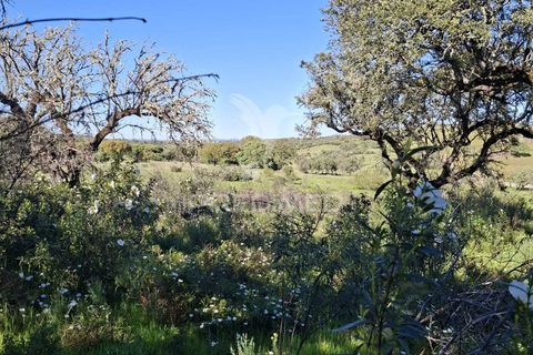 Terra a Alandroal, Evora, Alandroal - € 41.150 | Ref: 059837 - foto 3