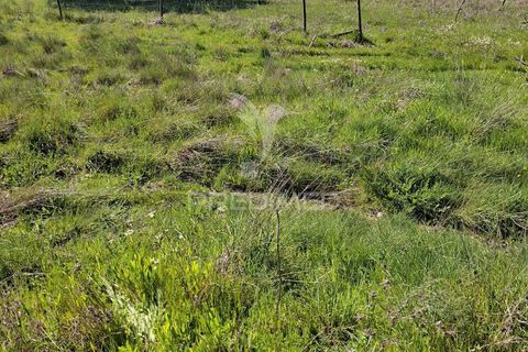 Terra a Alandroal, Evora, Alandroal - € 41.150 | Ref: 059837 - foto 4