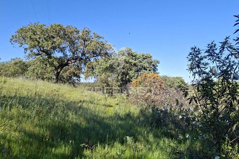 Terra a Alandroal, Evora, Alandroal - € 41.150 | Ref: 059837 - foto 6