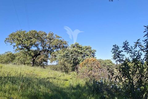 Terra a Alandroal, Evora, Alandroal - € 41.150 | Ref: 059837 - foto 8