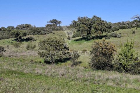 Terra a Alandroal, Evora, Alandroal - € 41.150 | Ref: 059837 - foto 9