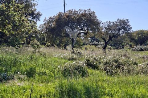 Terra a Alandroal, Evora, Alandroal - € 41.150 | Ref: 059837 - foto 10