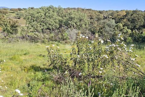 Terra a Alandroal, Evora, Alandroal - € 41.150 | Ref: 059837 - foto 11