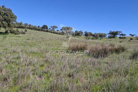Terra a Alandroal, Evora, Alandroal - € 41.150 | Ref: 059837 - foto 12