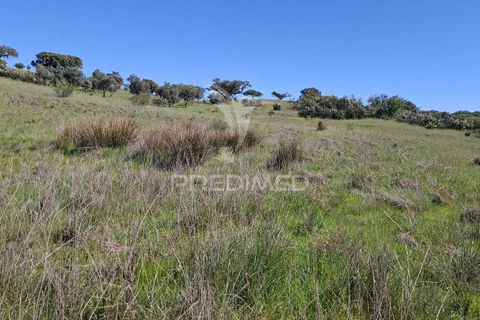 Terra a Alandroal, Evora, Alandroal - € 41.150 | Ref: 059837 - foto 13