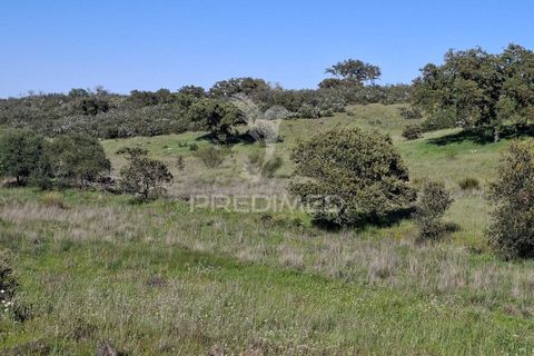 Terra a Alandroal, Evora, Alandroal - € 41.150 | Ref: 059837 - foto 14