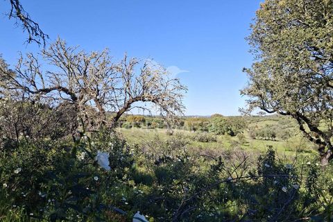 Terra a Alandroal, Evora, Alandroal - € 41.150 | Ref: 059837 - foto 15
