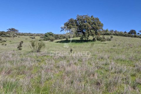 Terra a Alandroal, Evora, Alandroal - € 41.150 | Ref: 059837 - foto 17