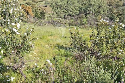 Terra a Alandroal, Evora, Alandroal - € 41.150 | Ref: 059837 - foto 19
