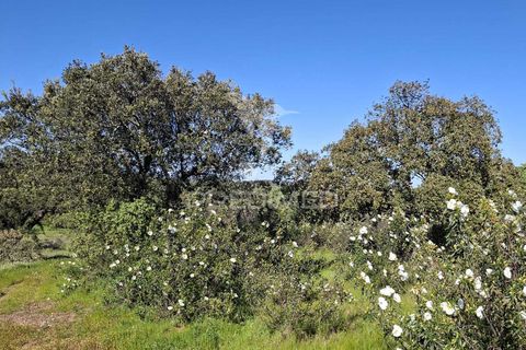 Terra a Alandroal, Evora, Alandroal - € 41.150 | Ref: 059837 - foto 20