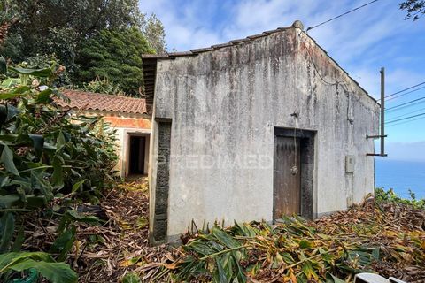 Byhus i Sao Roque do Pico, Pico, Sao Roque do Pico - € 64.500 | Ref: 059916 - foto 2
