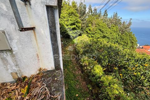 Byhus i Sao Roque do Pico, Pico, Sao Roque do Pico - € 64.500 | Ref: 059916 - foto 3