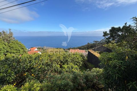 Byhus i Sao Roque do Pico, Pico, Sao Roque do Pico - € 64.500 | Ref: 059916 - foto 6