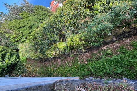 Byhus i Sao Roque do Pico, Pico, Sao Roque do Pico - € 64.500 | Ref: 059916 - foto 7