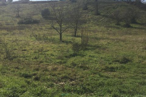 Terra a Guidonia Montecelio, Rome, Guidonia Montecelio - € 85.000 | Ref: 1001485 - foto 2