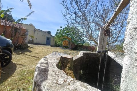 Villa i Alenquer, Lisbon, Alenquer - € 95.000 | Ref: MTM6883 - foto 4