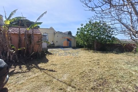 Villa i Alenquer, Lisbon, Alenquer - € 95.000 | Ref: MTM6883 - foto 14